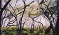 Live Oak Forest